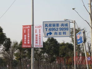 風荷麗景 上海都市中的詩意棲居